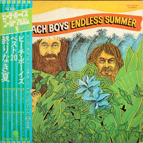 The Beach Boys / Endless Summer (LP)
