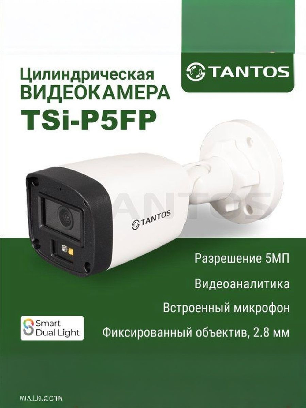 Видеокамера IP TSi-P5FP