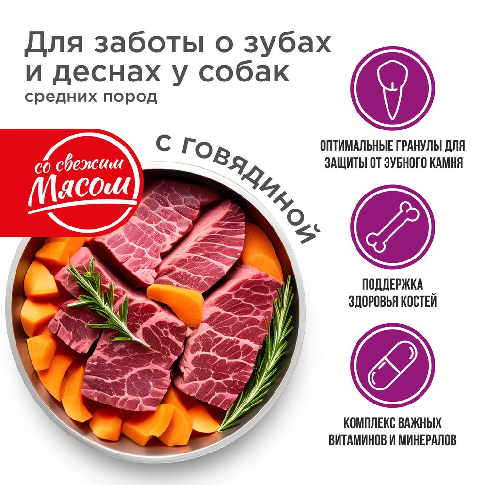 Корм сухой для взрослых собак средних пород, премиум полнорационный комплекс, забота о зубах и деснах, с говядиной, 12 кг, QUATTRO