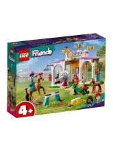 Конструктор Friends 41746 Тренировка лошадей