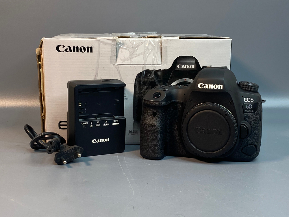 Canon EOS 6D Mark II 6.600 кадров
