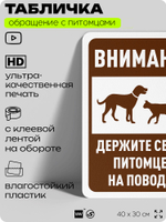 Табличка "Держите своих питомцев на поводке" на дверь и забор, для двора, дома, подъезда, 40х30 см, Silver Plane x Айдентика Технолоджи
