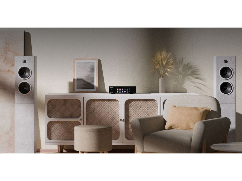 Аудиопроигрыватель EverSolo T8