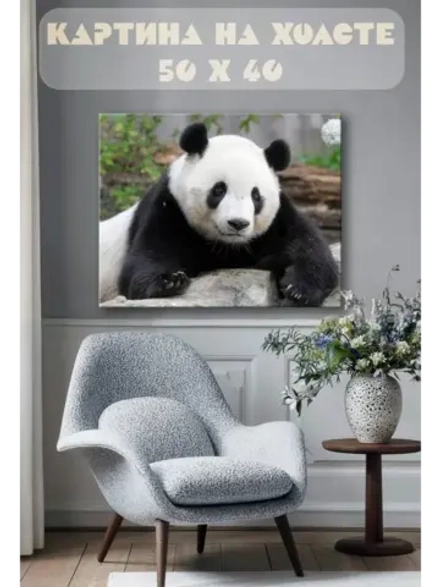 Картина на стену 40 X 50 Панда
