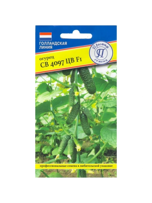 Огурец СВ 4097 F1