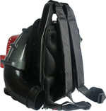 Воздуходувка бензиновая Evoline BGL 42 BP BLG42BP