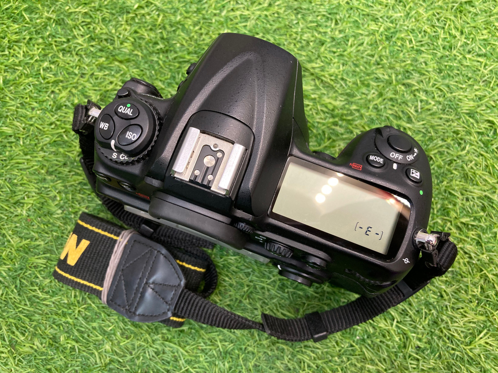 Nikon D300s 22.000 кадров
