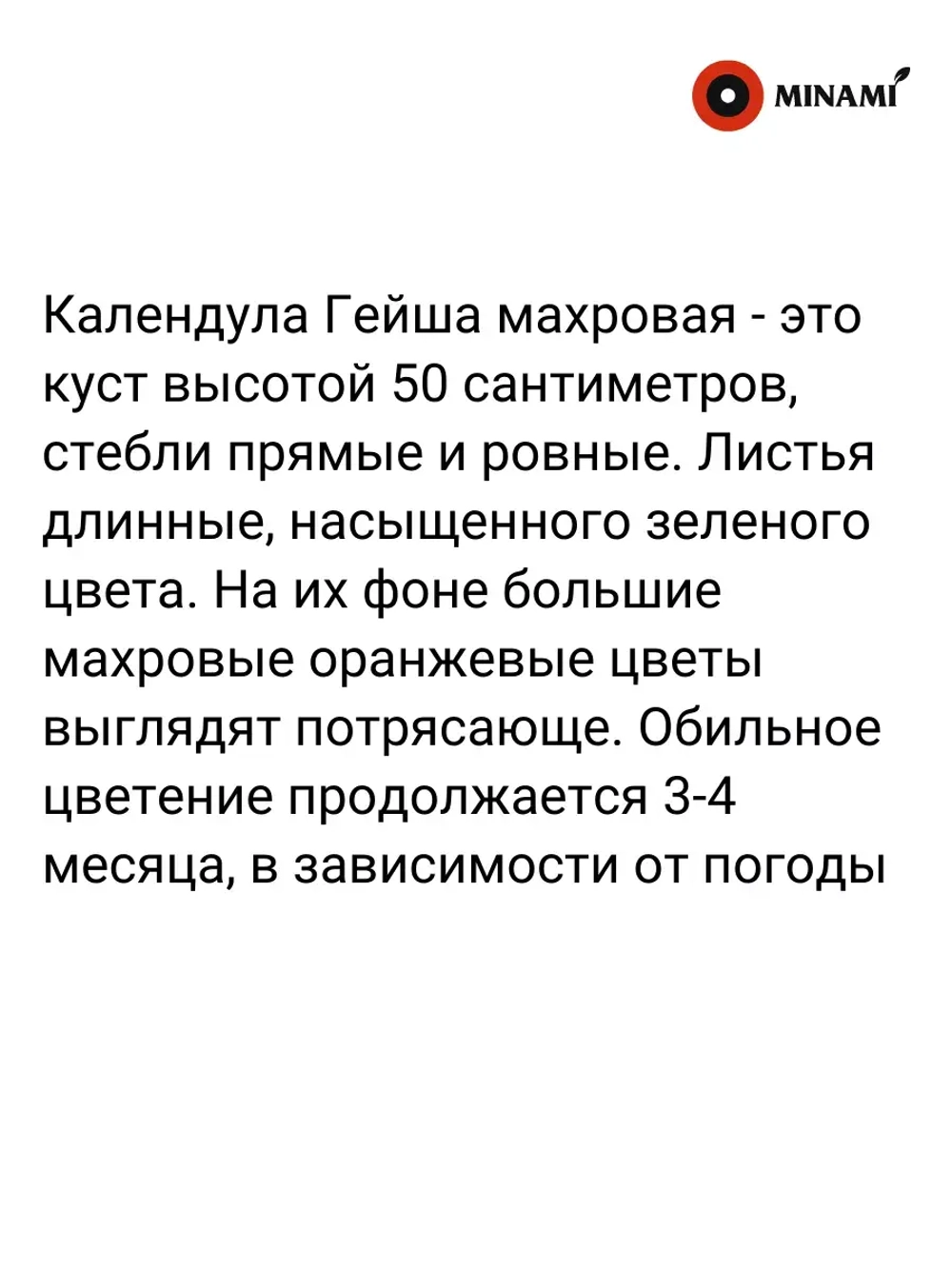Календула Гейша махровая