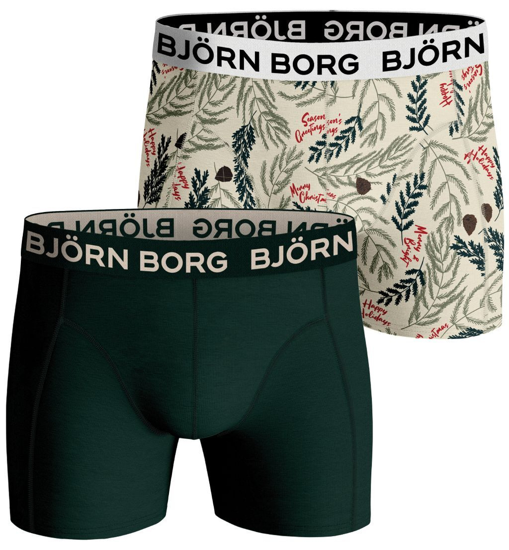 Мужские спортивные боксеры Björn Borg Core Boxer 2P - green/print