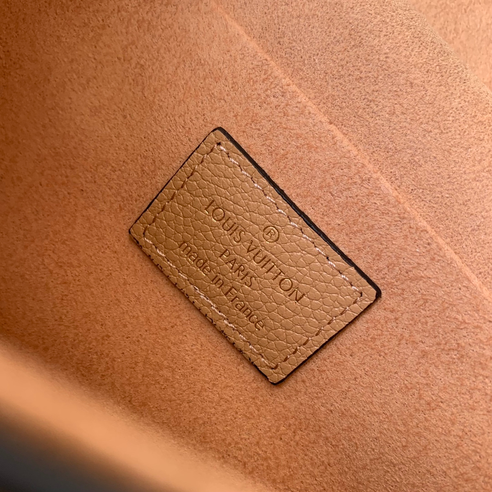 Louis Vuitton Felicie Pochette