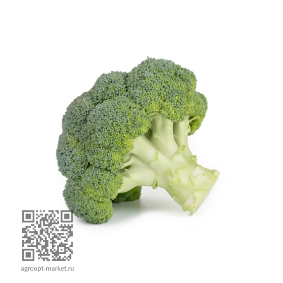 Алькараз_F1_семена_капусты_брокколи_Rijk_Zwaan_оптом – фото 1