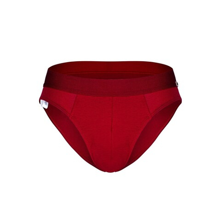 Мужские трусы брифы бордовые DARKZONE DZNBM6307