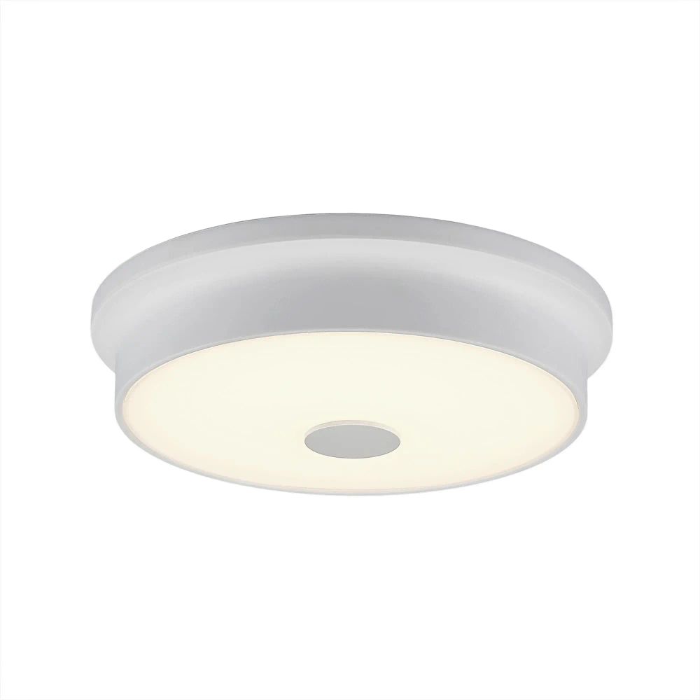 Citilux Фостер-2 CL706220 LED Светильник с диммером Белый