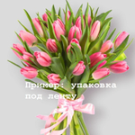 Тюльпаны