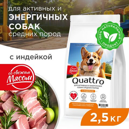 Корм сухой для взрослых собак средних пород, премиум полнорационный комплекс, для активных и энергичных, с индейкой, 2,5 кг, QUATTRO