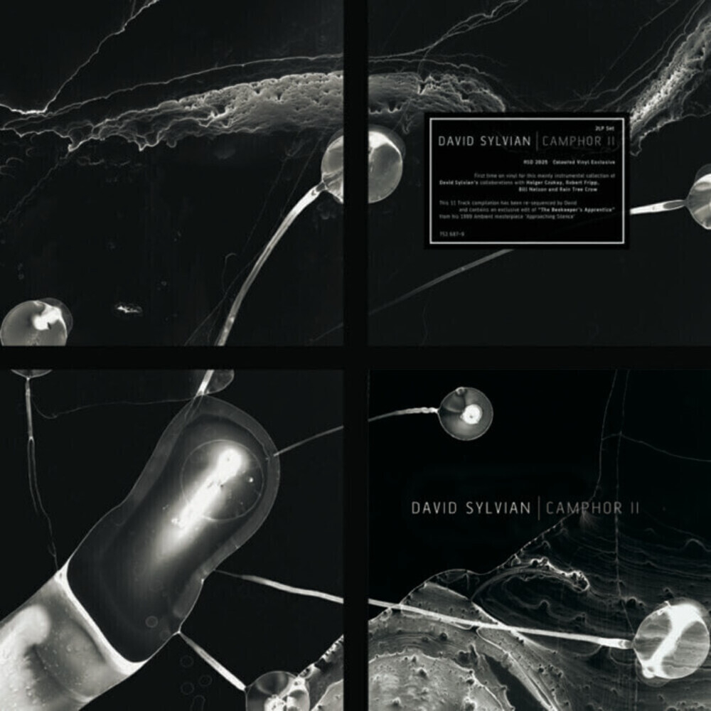 David Sylvian / Camphor II (Limited Edition)(Coloured Vinyl)(2LP)
