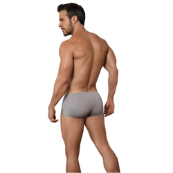 Мужские трусы хипсы серые Clever Moda DESTELLOS TRUNKS 156512