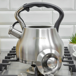 Чайник 3л нерж со свистком, индукция, Z-4499