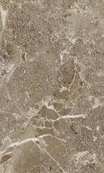 Saloni brown wall 02 v2 300х500 (1-й сорт)