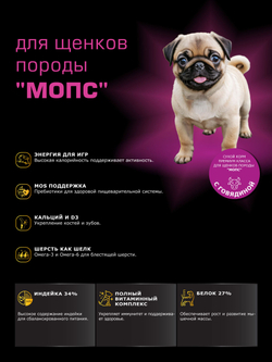 Quattro корм для щенков породы Мопс, с говядиной, 6 кг, QUATTRO