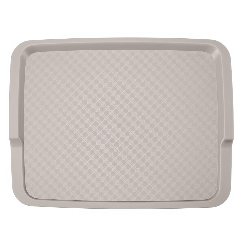 Поднос 425х320х22 мм (светло-бежевый)