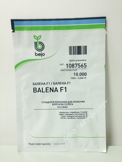 Балена F1 семена сельдерея (Bejo / Бейо) упаковка 10 000 шт. – фото 3