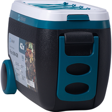 Изотермический контейнер Libhof Picnic BW-42R