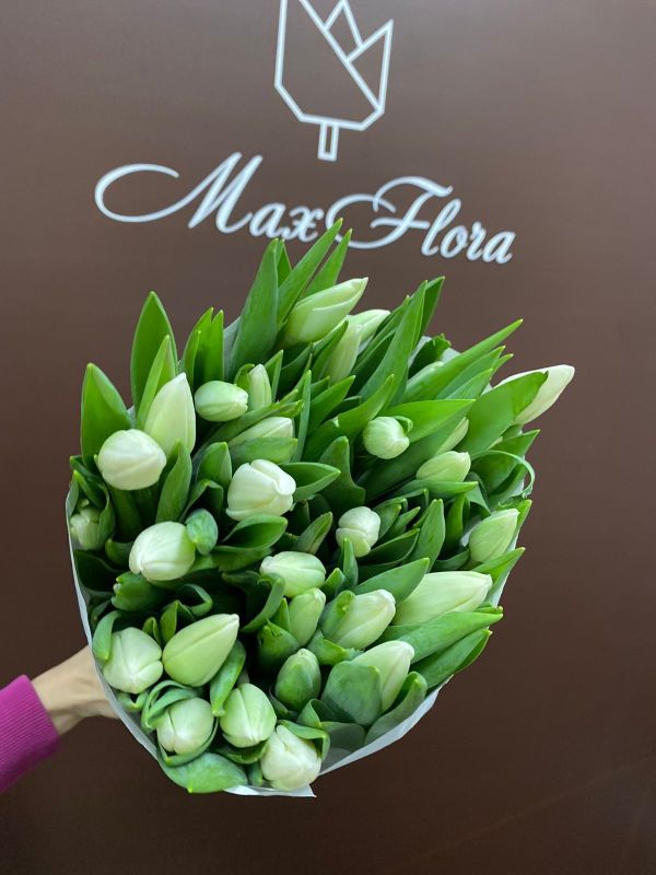 51 Тюльпан 8 Марта М-1