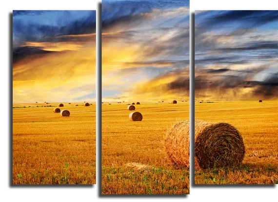 Модульная картина "Пшеничное поле"