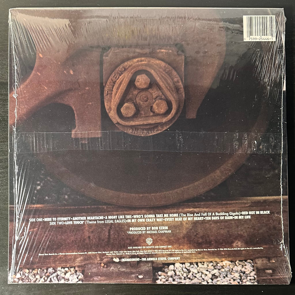 Rod Stewart ‎– Rod Stewart (США 1986г.)