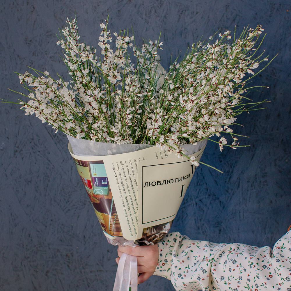 154. Весенний букет из ароматной генисты