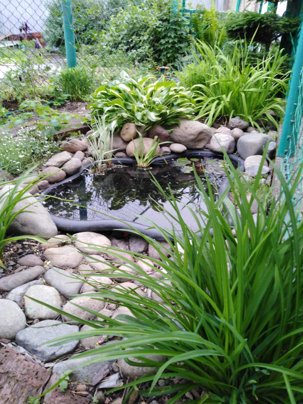 Консультацию по озеленению