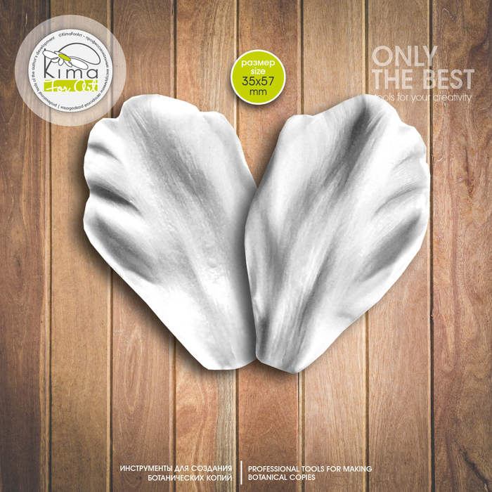 Тюльпан пионовидный лепесток большой