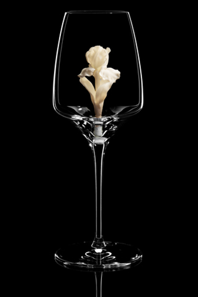 Бокал для белого вина. / Ирис белый.