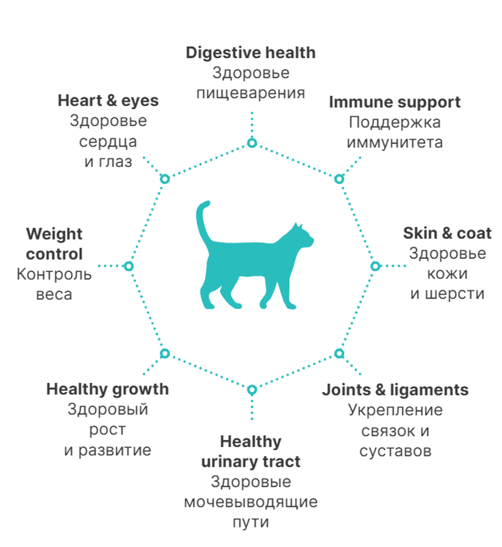 PREMIER Свежее мясо индейки для взрослых кошек