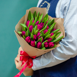 Малиновые тюльпаны в оформлении