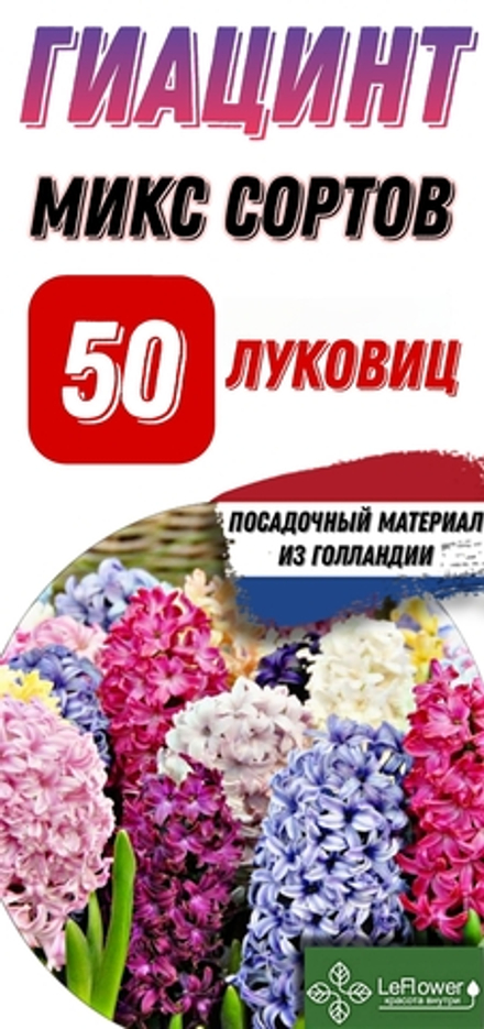 Гиацинт Луковицы, Микс сортов, 50шт