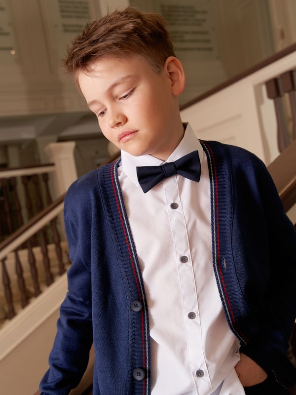 Галстук-бабочка 