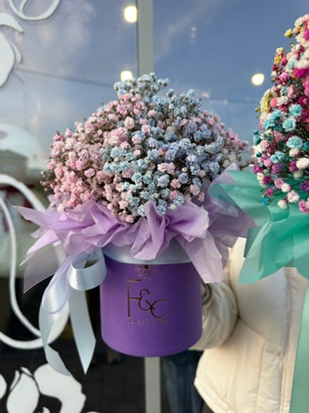 Коробочки радужной гипсофилы💜🌸