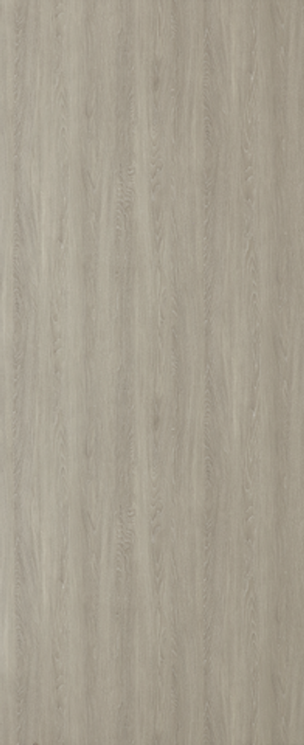 Дуб португальский