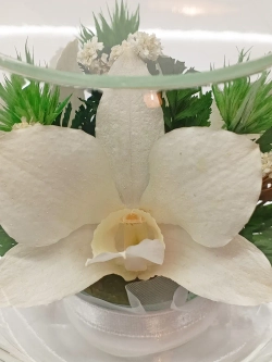 натуральные цветы в стекле, вакуум