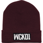 Зимняя шапка Wicked One Crack