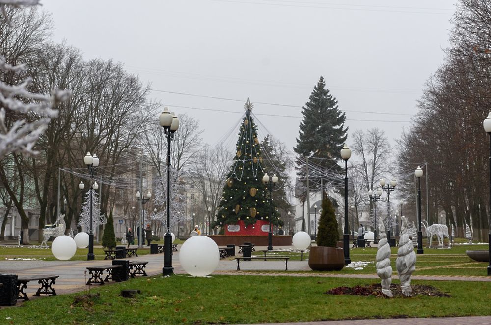 Уличная елка ствольная "Таежная" (пвх) от 11 до 21 м