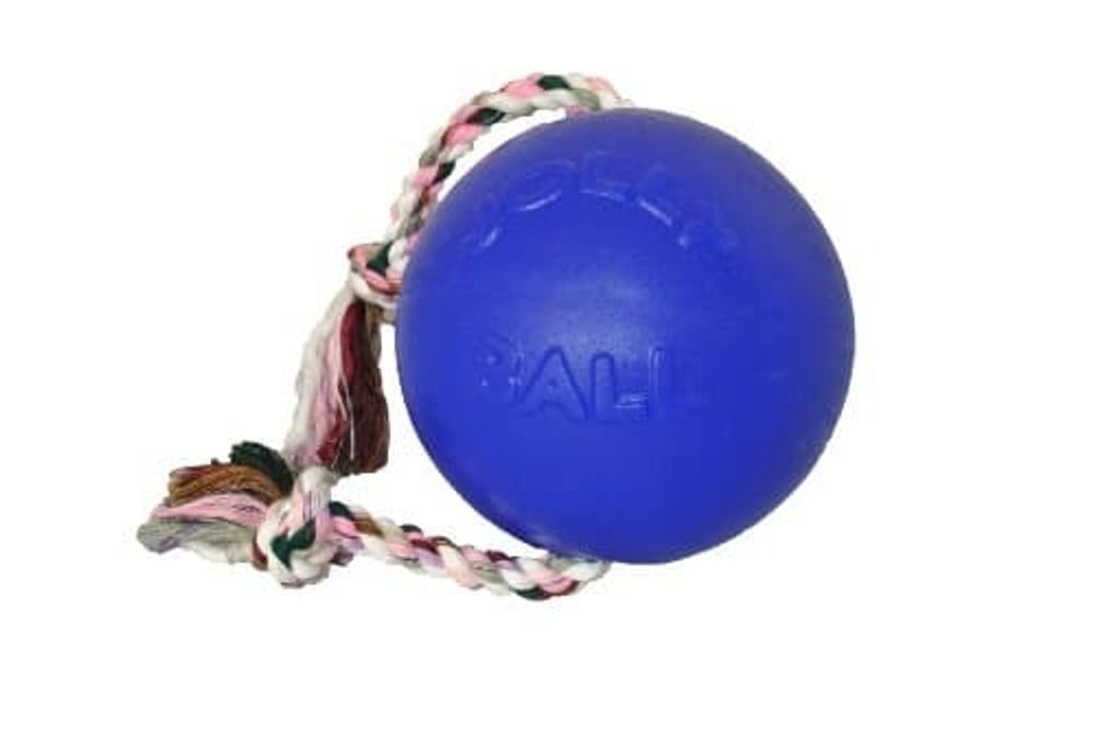 Romp-n-Roll Ball - мяч на канате для собак, голубой, 8&quot; [788169608229], стр.произв. США