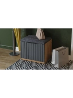 Прихожая с зеркалом Дуб Крафт золотой 245х43х226