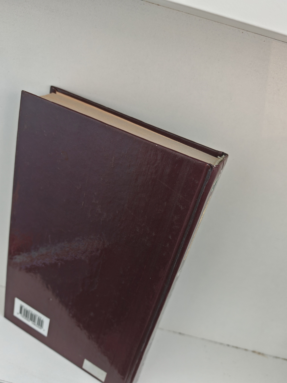 Выбор завоевателя