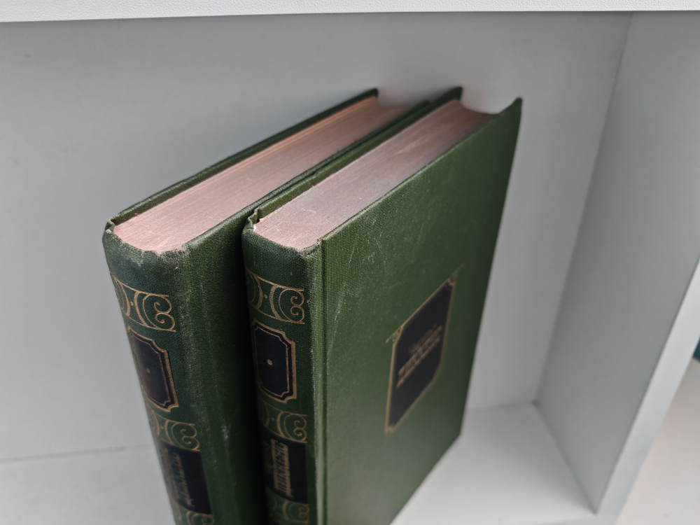 Чарльз Диккенс. Собрание сочинений. Тома 2-3. Приключения Оливера Твиста. Жизнь и приключения Николаса Никльби