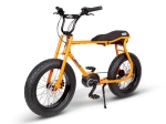 Электровелосипед Ruff & Cycles LIL'BUDDY (Bosch CX 500Wh)