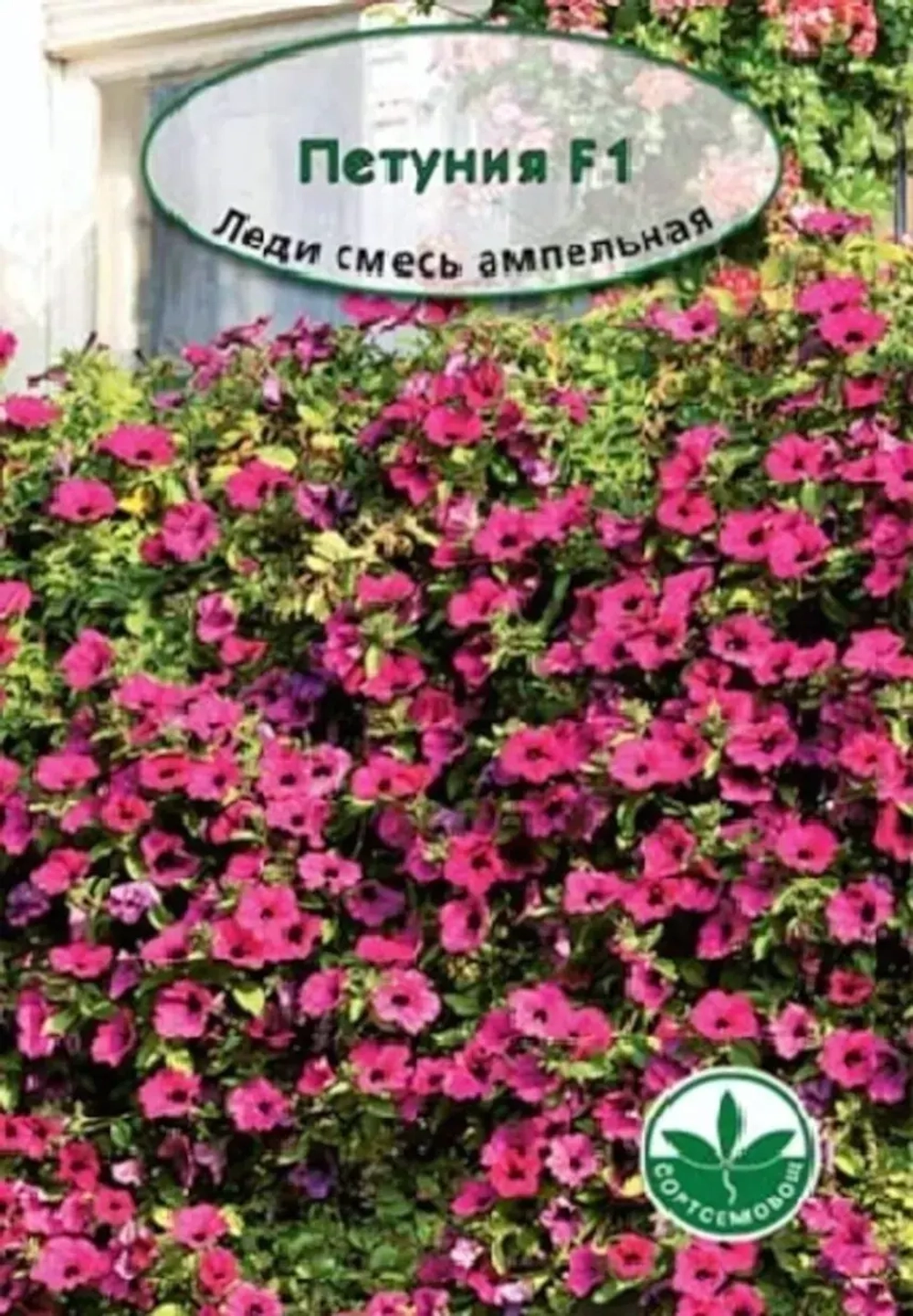 Семена Петуния Леди смесь F1 ампельная, 20шт