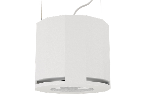 CVGAUDIO SUBone model D-6W/CR/T подвесной сабвуфер, мощность 70W/100V